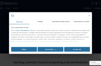 Изображение netsons.com с сайта PICKHOST.RU