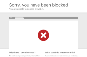 Изображение bitweb.ru с сайта PICKHOST.RU