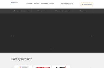 Изображение dhub.ru с сайта PICKHOST.RU