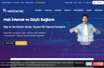 Изображение netinternet.com.tr с сайта PICKHOST.RU