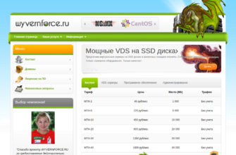 Изображение wyvernforce.ru с сайта PICKHOST.RU