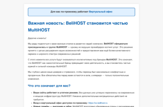 Изображение belihost.ru с сайта PICKHOST.RU