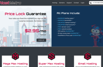 Изображение hostmetro.com с сайта PICKHOST.RU