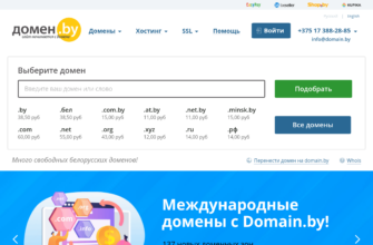 Изображение domain.by с сайта PICKHOST.RU