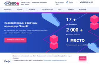 Изображение cloud4y.ru с сайта PICKHOST.RU