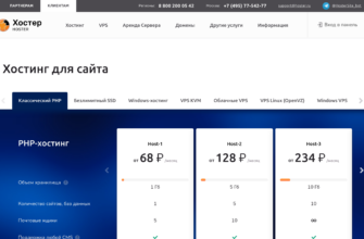 Изображение hoster.ru с сайта PICKHOST.RU